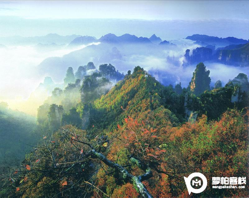 天子山 臥龍嶺