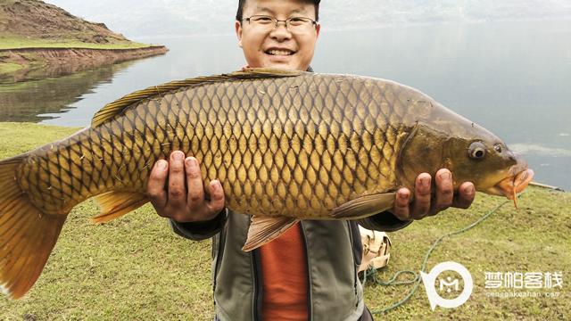 湘西張家界狗司令