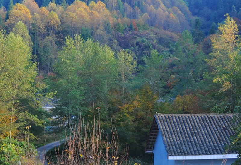 張家界夢帕客棧 天子山店